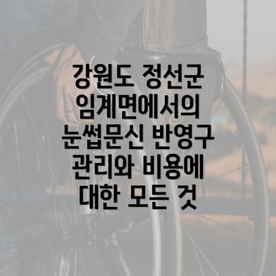 강원도 정선군 임계면에서의 눈썹문신 반영구 관리와 비용에 대한 모든 것