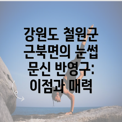 강원도 철원군 근북면의 눈썹 문신 반영구: 이점과 매력