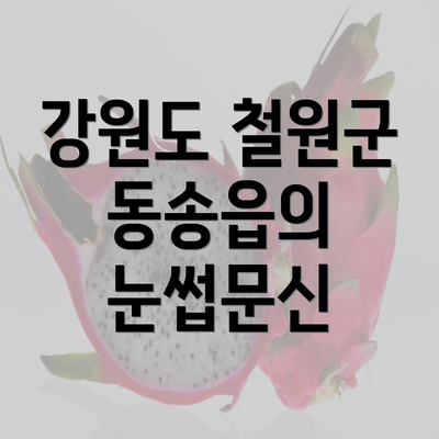 강원도 철원군 동송읍의 눈썹문신