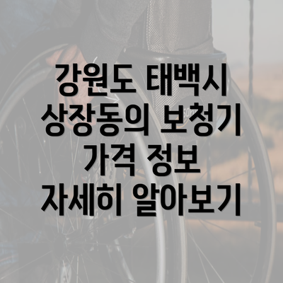 강원도 태백시 상장동의 보청기 가격 정보 자세히 알아보기