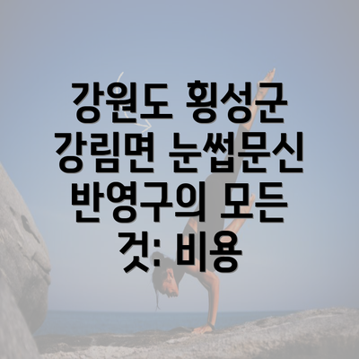 강원도 횡성군 강림면 눈썹문신 반영구의 모든 것: 비용