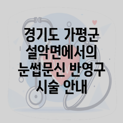 경기도 가평군 설악면에서의 눈썹문신 반영구 시술 안내