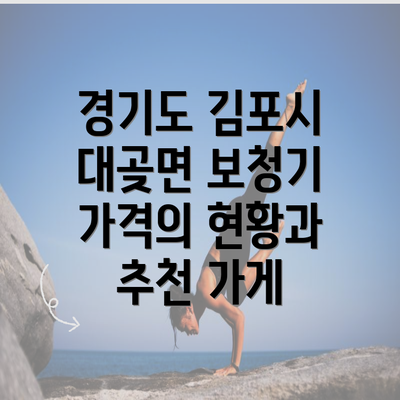 경기도 김포시 대곶면 보청기 가격의 현황과 추천 가게