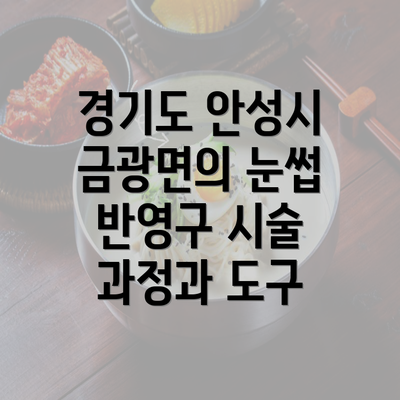 경기도 안성시 금광면의 눈썹 반영구 시술 과정과 도구