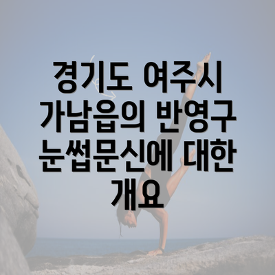 경기도 여주시 가남읍의 반영구 눈썹문신에 대한 개요