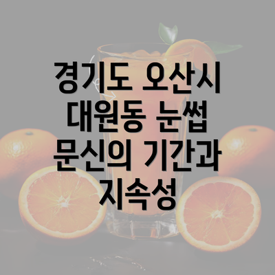 경기도 오산시 대원동 눈썹 문신의 기간과 지속성