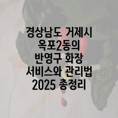 경상남도 거제시 옥포2동의 반영구 화장 서비스와 관리법 2025 총정리