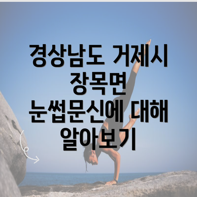 경상남도 거제시 장목면 눈썹문신에 대해 알아보기