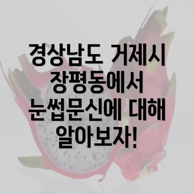 경상남도 거제시 장평동에서 눈썹문신에 대해 알아보자!