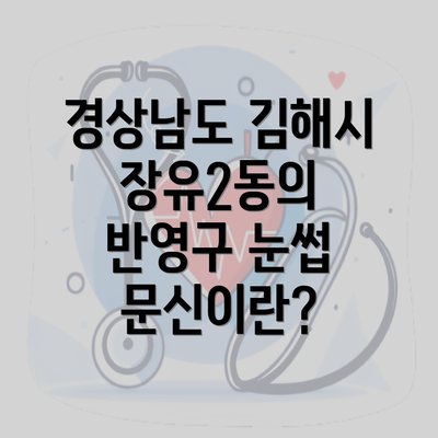 경상남도 김해시 장유2동의 반영구 눈썹 문신이란?