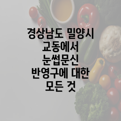 경상남도 밀양시 교동에서 눈썹문신 반영구에 대한 모든 것