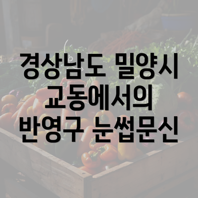 경상남도 밀양시 교동에서의 반영구 눈썹문신