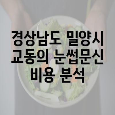 경상남도 밀양시 교동의 눈썹문신 비용 분석