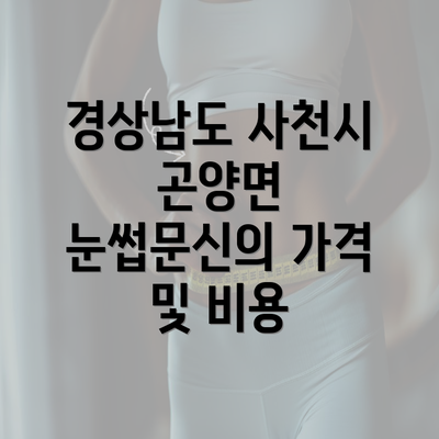 경상남도 사천시 곤양면 눈썹문신의 가격 및 비용