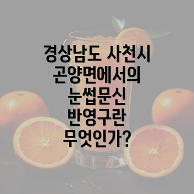 경상남도 사천시 곤양면에서의 눈썹문신 반영구란 무엇인가?