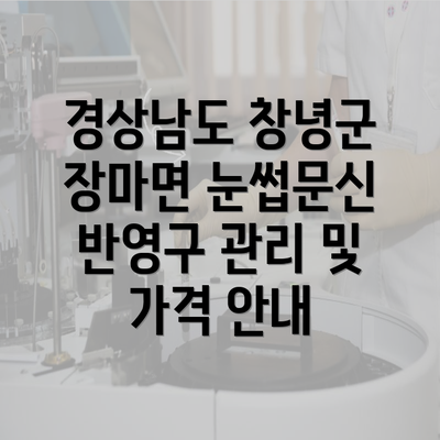 경상남도 창녕군 장마면 눈썹문신 반영구 관리 및 가격 안내