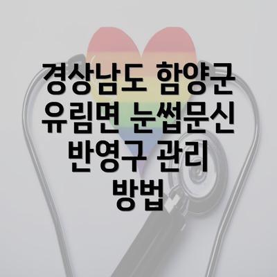 경상남도 함양군 유림면 눈썹문신 반영구 관리 방법