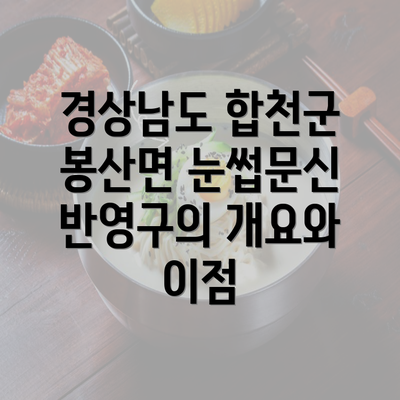 경상남도 합천군 봉산면 눈썹문신 반영구의 개요와 이점