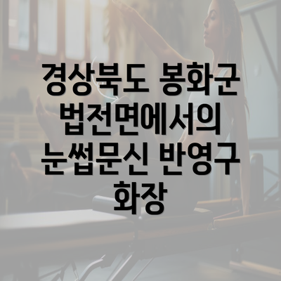 경상북도 봉화군 법전면에서의 눈썹문신 반영구 화장