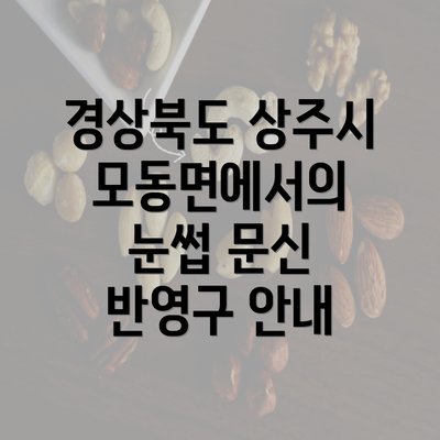 경상북도 상주시 모동면에서의 눈썹 문신 반영구 안내