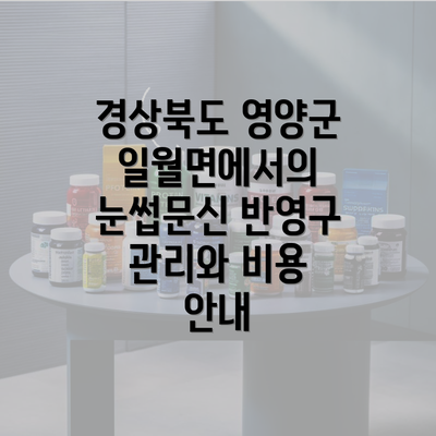 경상북도 영양군 일월면에서의 눈썹문신 반영구 관리와 비용 안내