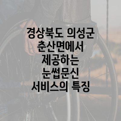 경상북도 의성군 춘산면에서 제공하는 눈썹문신 서비스의 특징