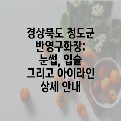 경상북도 청도군 반영구화장: 눈썹, 입술 그리고 아이라인 상세 안내