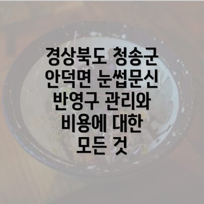 경상북도 청송군 안덕면 눈썹문신 반영구 관리와 비용에 대한 모든 것