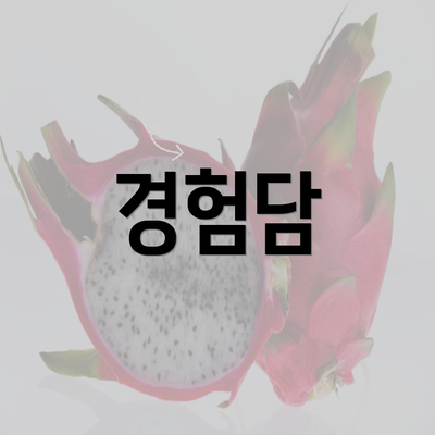 경험담