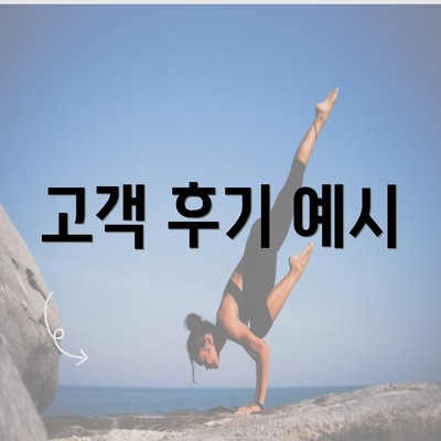 고객 후기 예시