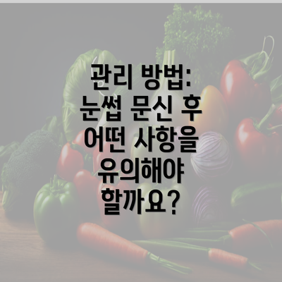 관리 방법: 눈썹 문신 후 어떤 사항을 유의해야 할까요?