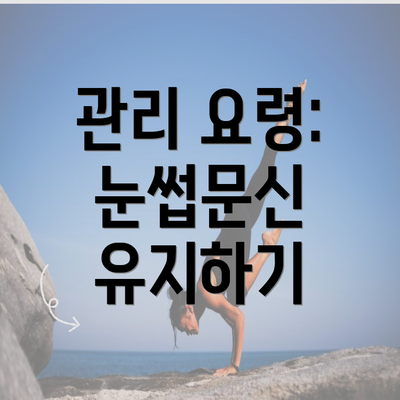 관리 요령: 눈썹문신 유지하기