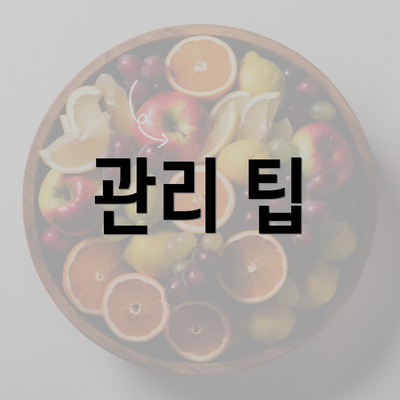 관리 팁