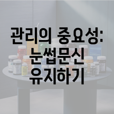 관리의 중요성: 눈썹문신 유지하기