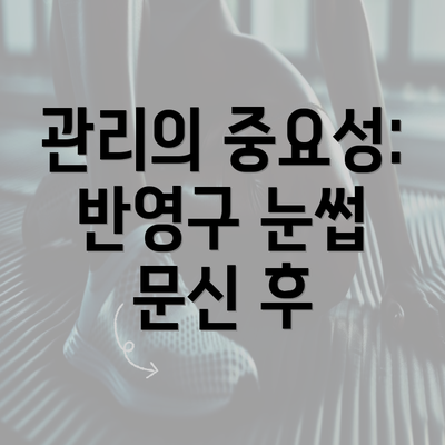 관리의 중요성: 반영구 눈썹 문신 후