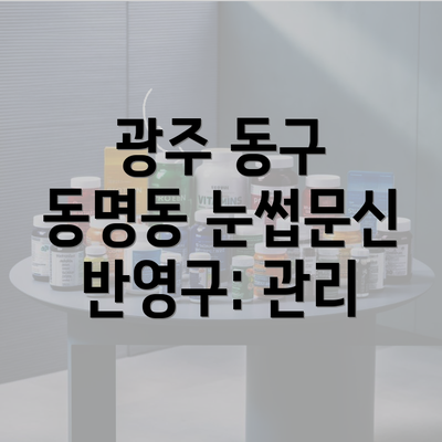 광주 동구 동명동 눈썹문신 반영구: 관리