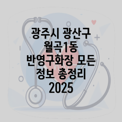 광주시 광산구 월곡1동 반영구화장 모든 정보 총정리 2025