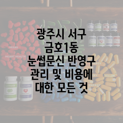 광주시 서구 금호1동 눈썹문신 반영구 관리 및 비용에 대한 모든 것