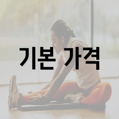 기본 가격