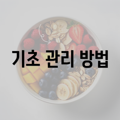 기초 관리 방법