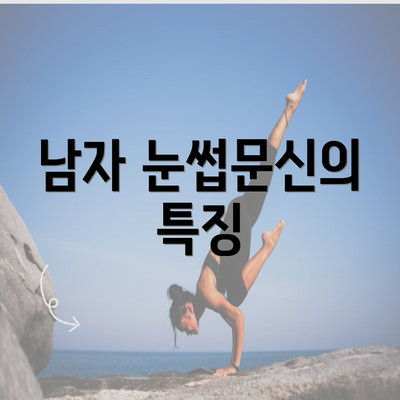 남자 눈썹문신의 특징