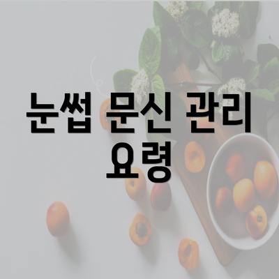 눈썹 문신 관리 요령