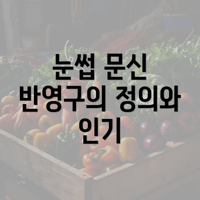 눈썹 문신 반영구의 정의와 인기