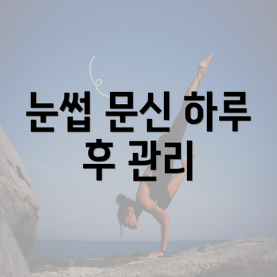 눈썹 문신 하루 후 관리