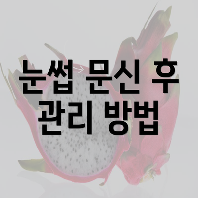 눈썹 문신 후 관리 방법