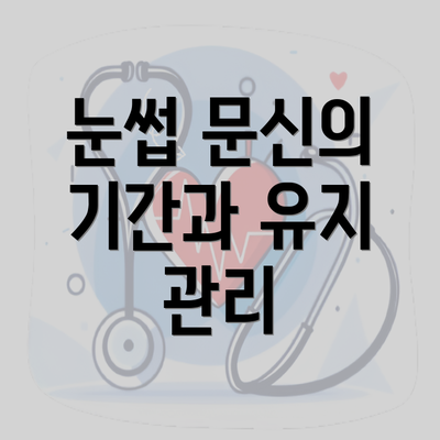 눈썹 문신의 기간과 유지 관리