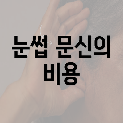 눈썹 문신의 비용