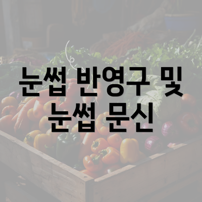 눈썹 반영구 및 눈썹 문신