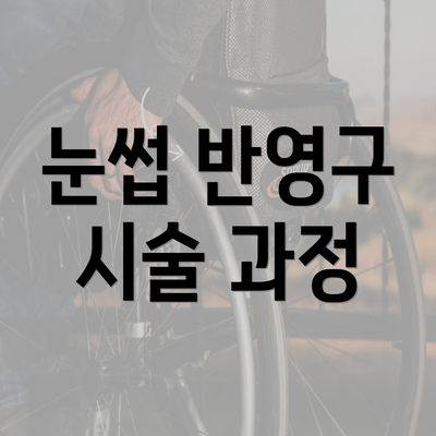 눈썹 반영구 시술 과정