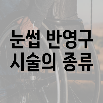 눈썹 반영구 시술의 종류